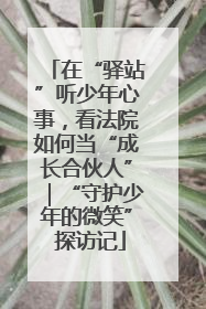 在“驿站”听少年心事，看法院如何当“成长合伙人”｜“守护少年的微笑” 探访记